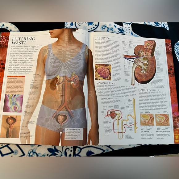 Smithsonian Human: The Definitive Visual Guide - Picture 7 of 9